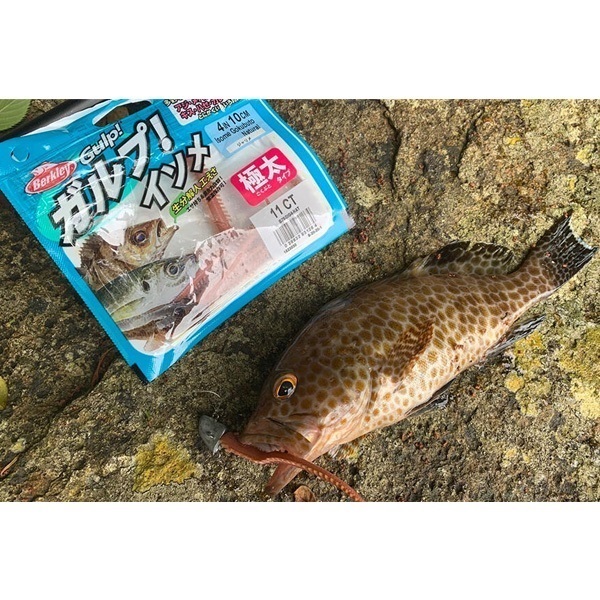 ガルプ！ソルトウォーターイソメ　太身　4インチ